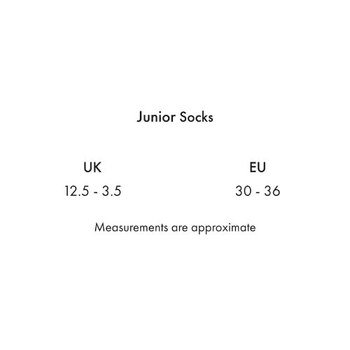 Kids 4 Season Socks (2 Pairs) Classic Check