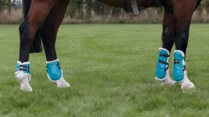 Mini Horse Open Front Boots