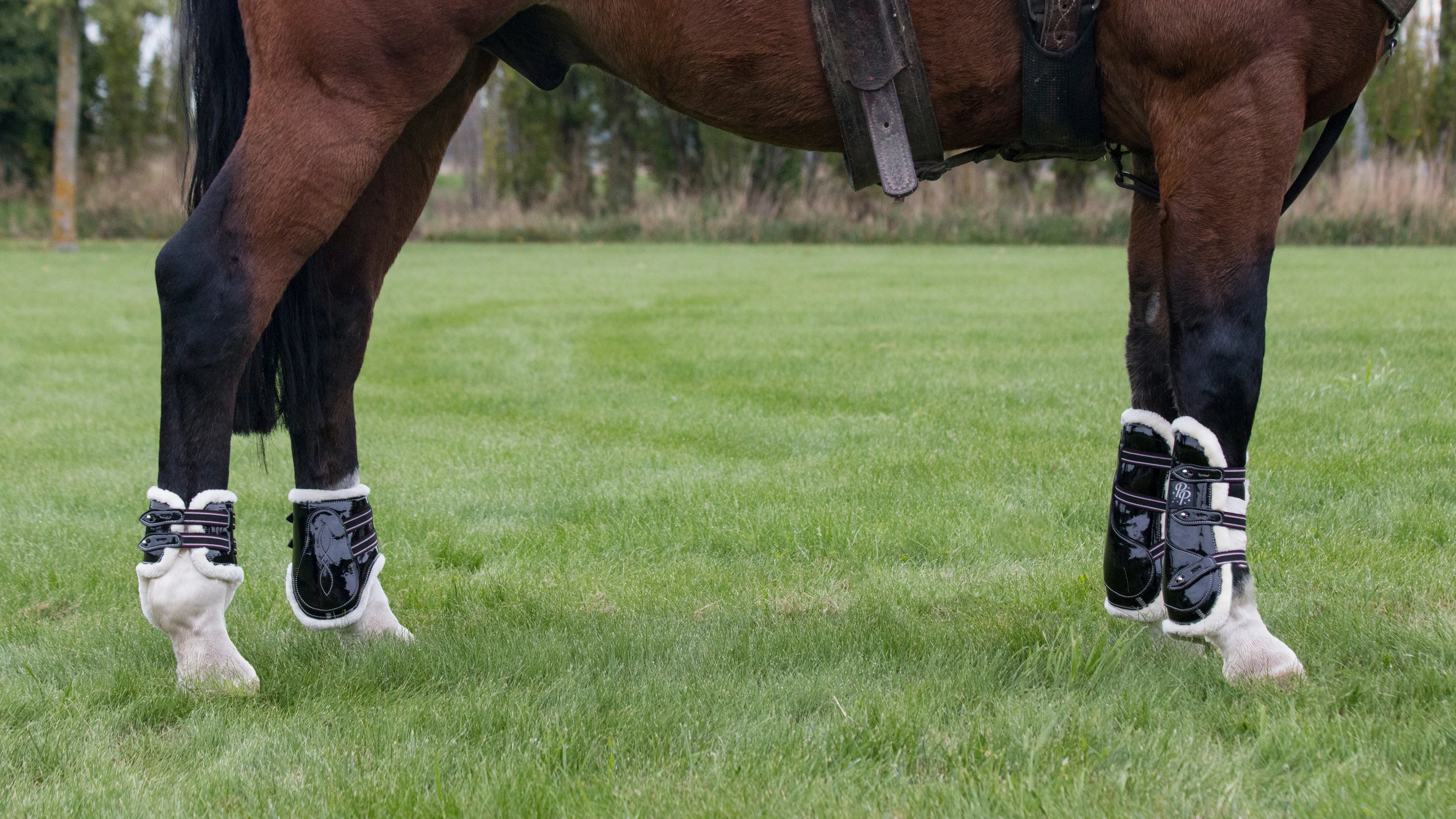 Mini Horse Open Front Boots