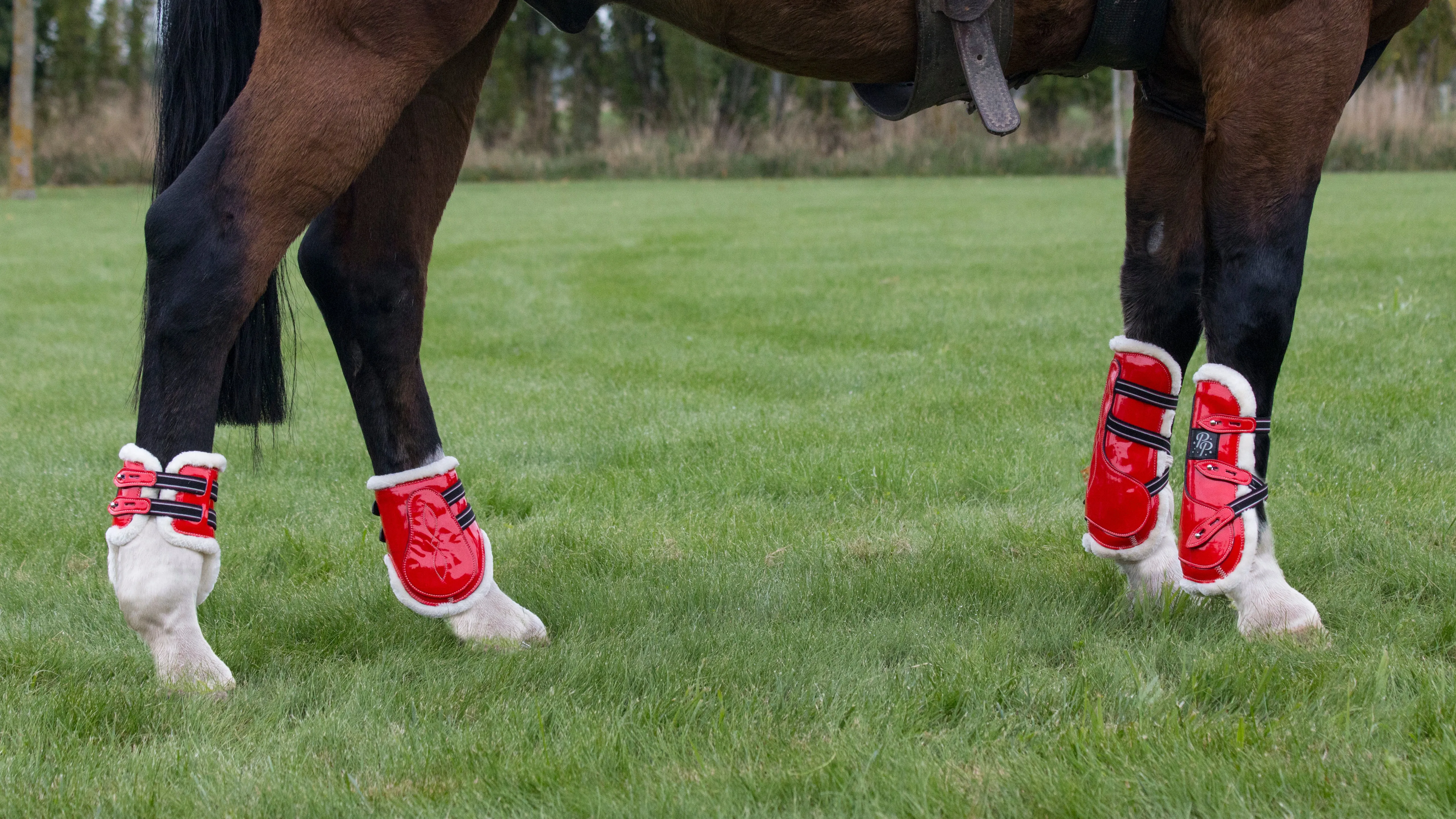 Mini Horse Open Front Boots