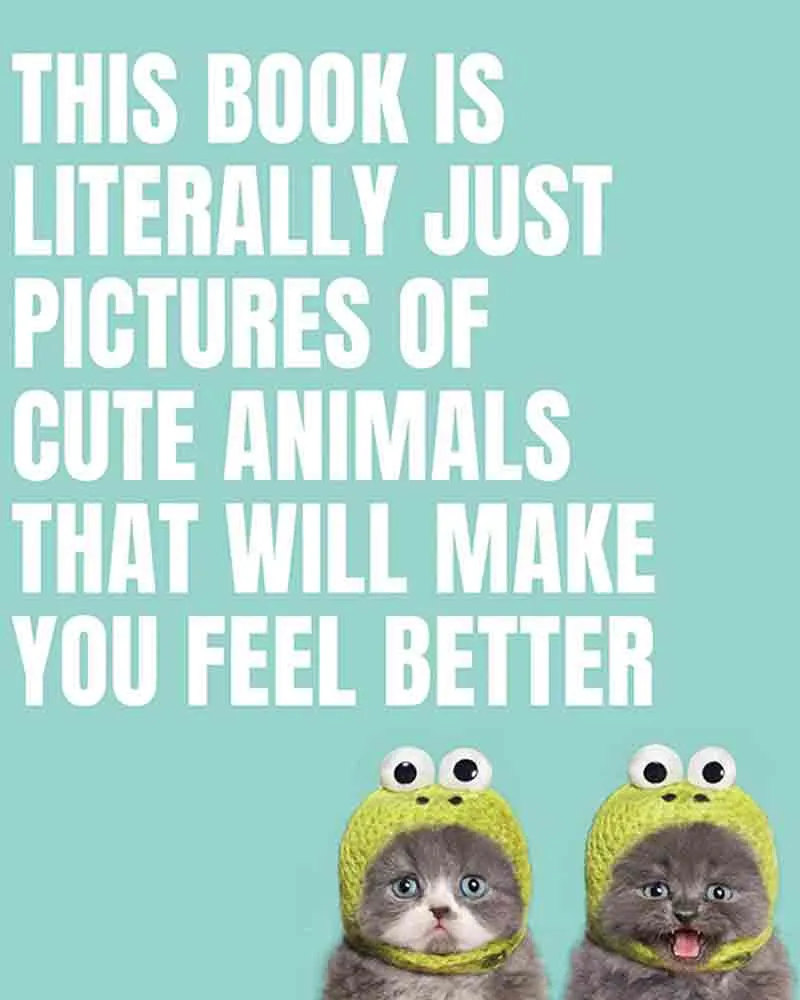 Pictures of Cute Animals