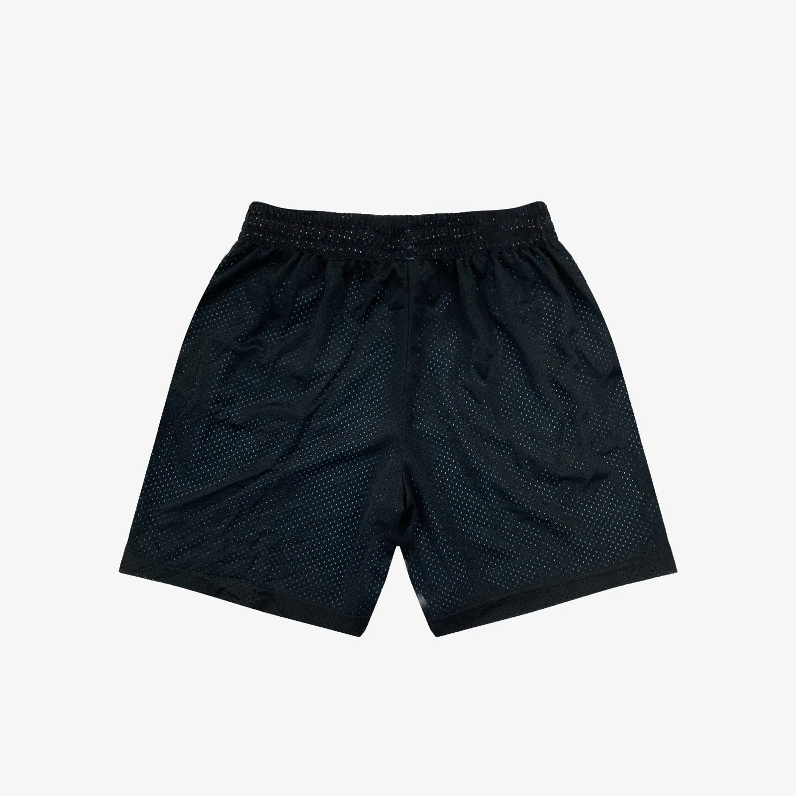 Standard Issue x Space Jam: A New Legacy Dri-FIT Reversible Shorts - Blue Fury