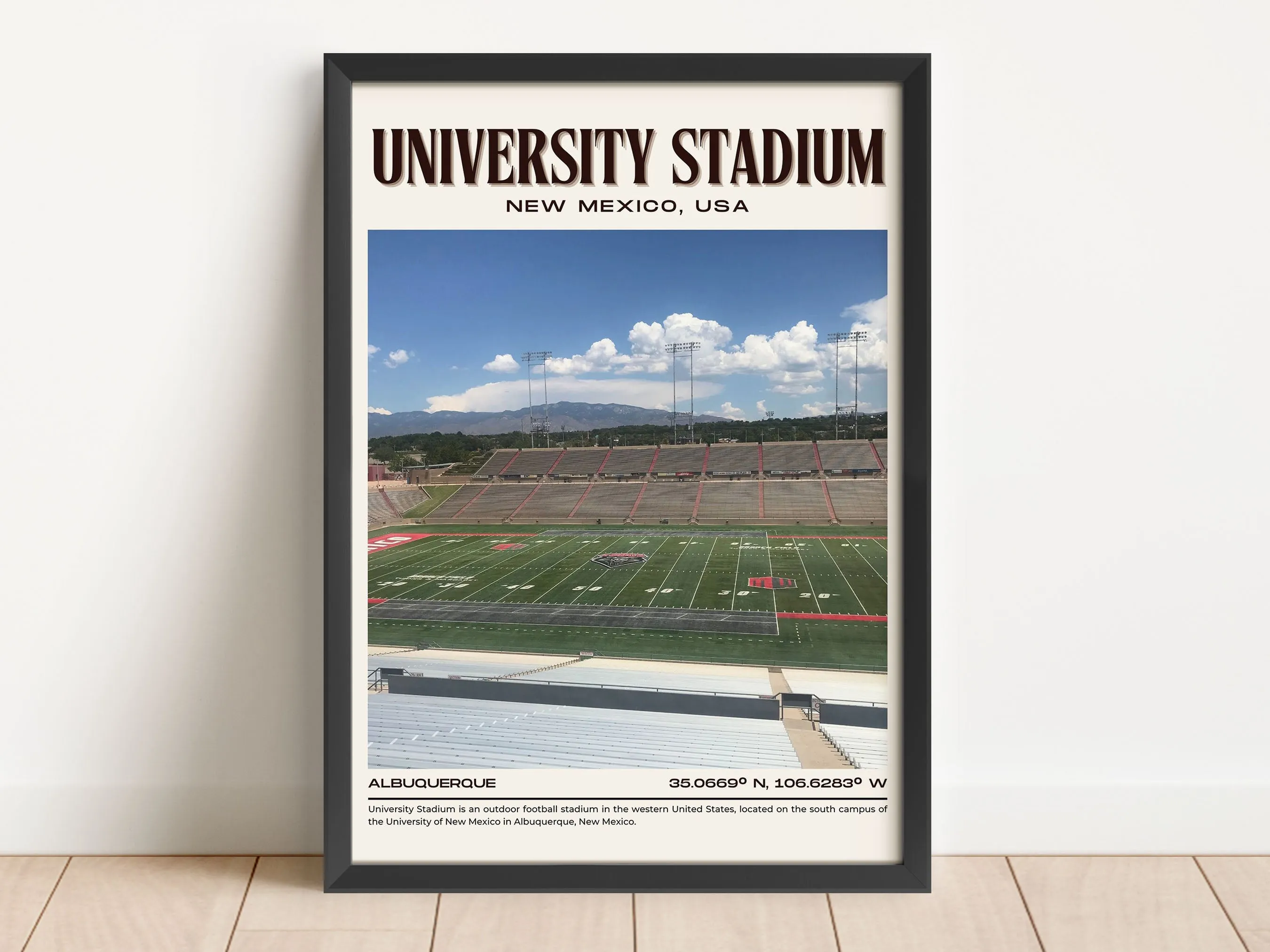University Stadium Football Retro Wall Art