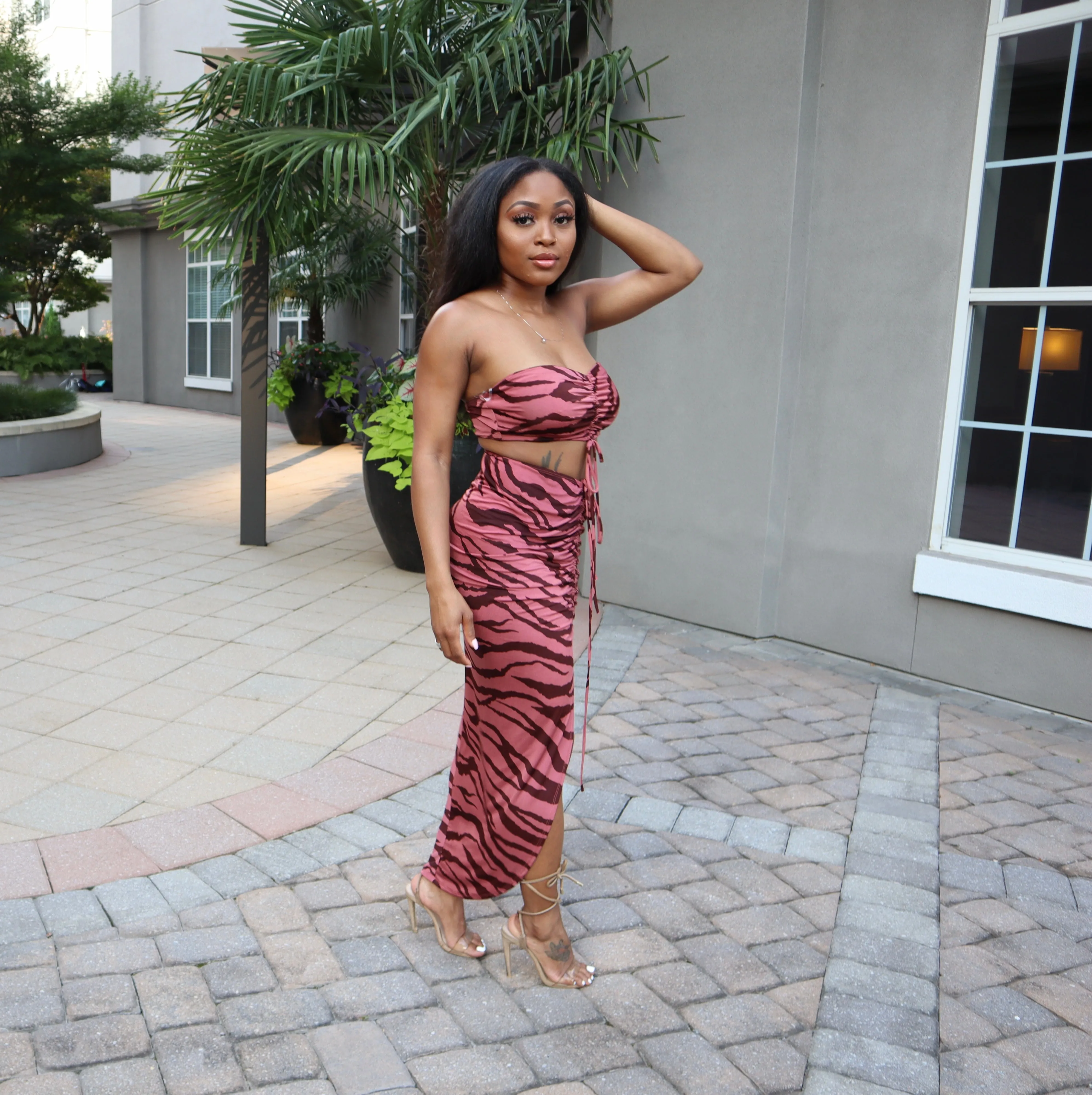 Wylin' Zebra Set