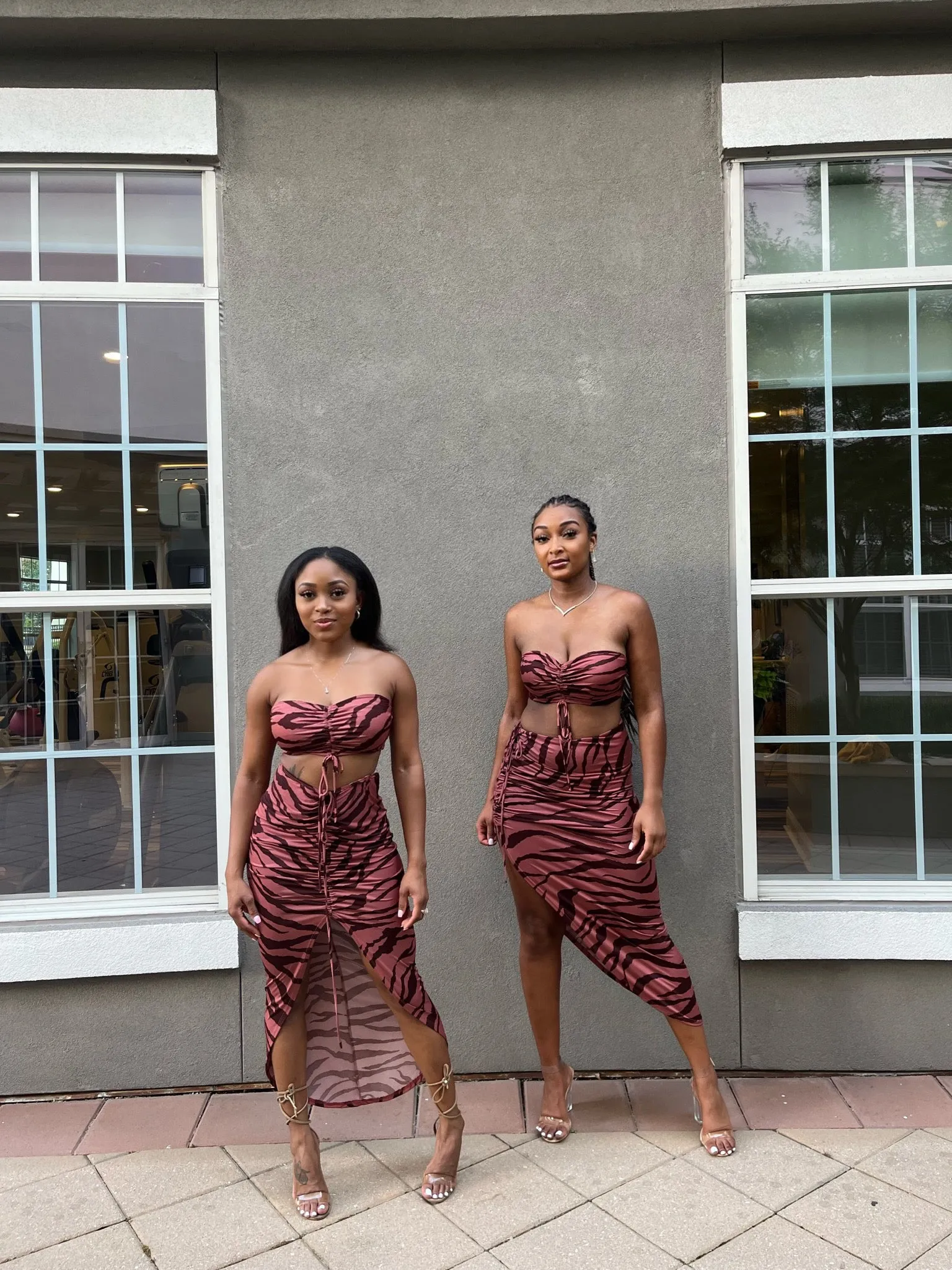 Wylin' Zebra Set